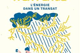 Tesla à la plage : l'énergie dans un transat.jpg