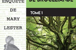 Une enquête de Mary Lester. Vol. 59. L'ange déchu de Brocéliande. Vol. 1.jpg