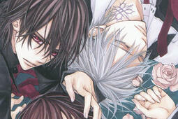 Vampire knight. Vol. 14.jpg